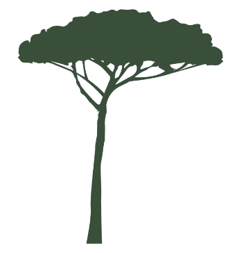 Logo Suscosse Charpentes